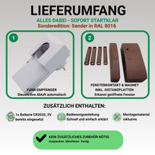 Funk-Abluftsteuerung FDS 200 Lieferumgang Sonderedition RAL 8016 mahagonibraun