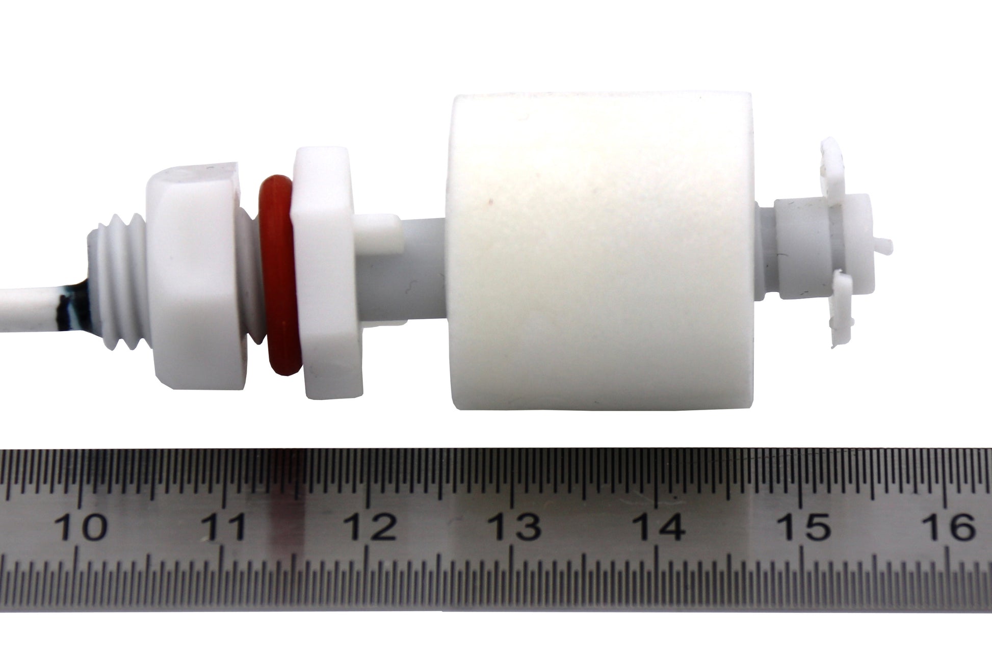 Schwimmerschlalter_Größenanschauung