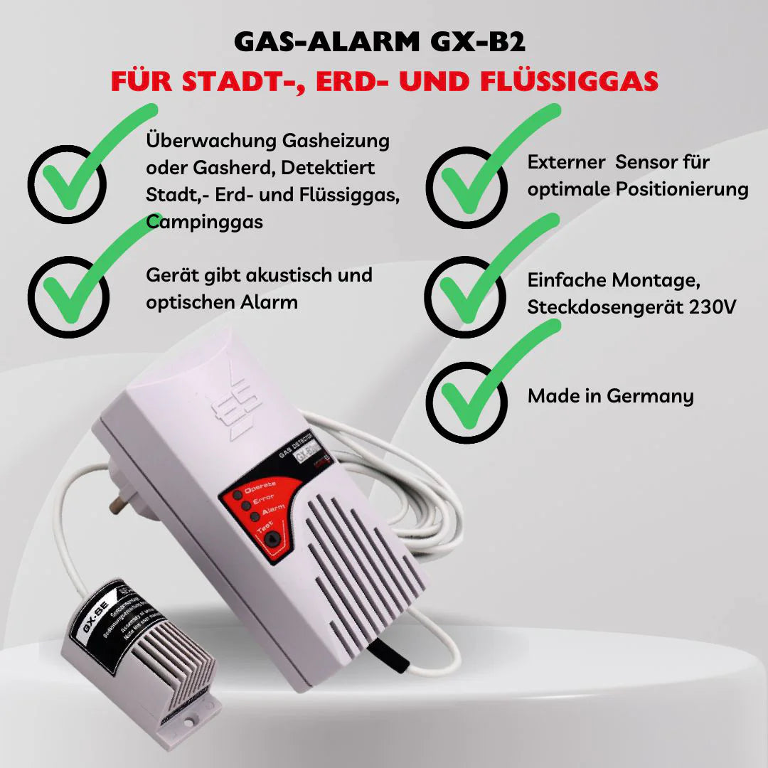 GAS ALARM GX-B2pro
