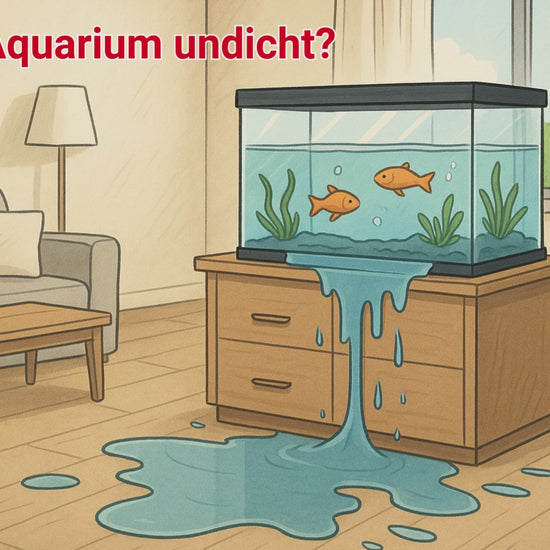 Aquastop SHT 262 Videoclip Aquarium