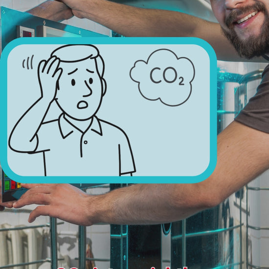 CO2 Melder für Brauerein, geschlossene Räume